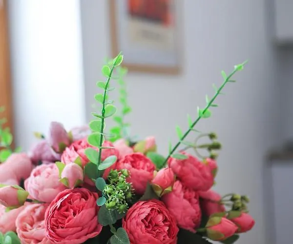 Katrca Bezigrad Appartamento *